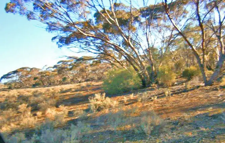 Second view of Homely rural property listing, Section 113 Sturt Highway, Blanchetown SA 5357