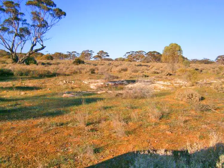 Third view of Homely rural property listing, Section 113 Sturt Highway, Blanchetown SA 5357