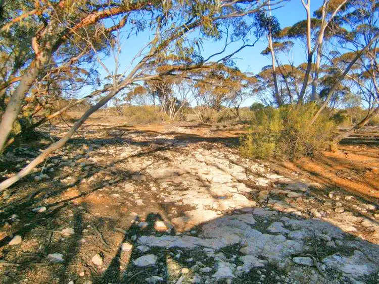 Fourth view of Homely rural property listing, Section 113 Sturt Highway, Blanchetown SA 5357