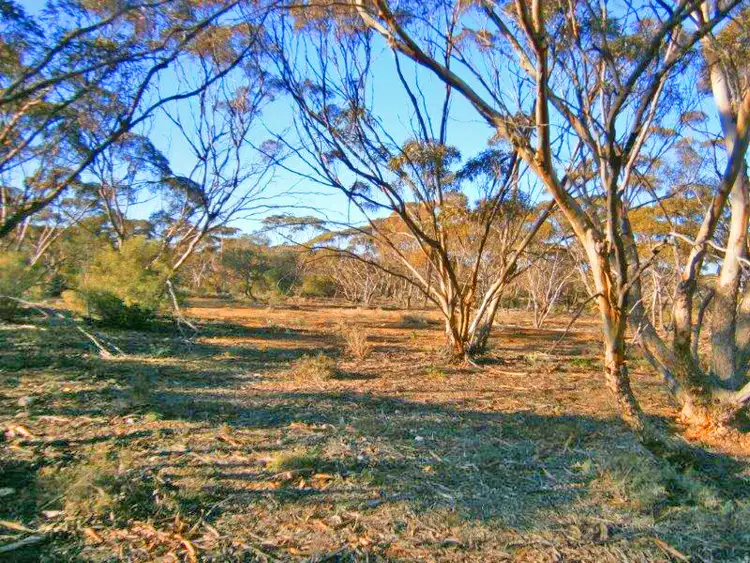 Fifth view of Homely rural property listing, Section 113 Sturt Highway, Blanchetown SA 5357