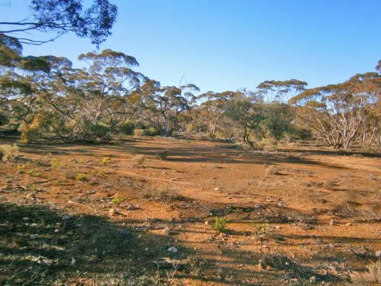 Sixth view of Homely rural property listing, Section 113 Sturt Highway, Blanchetown SA 5357