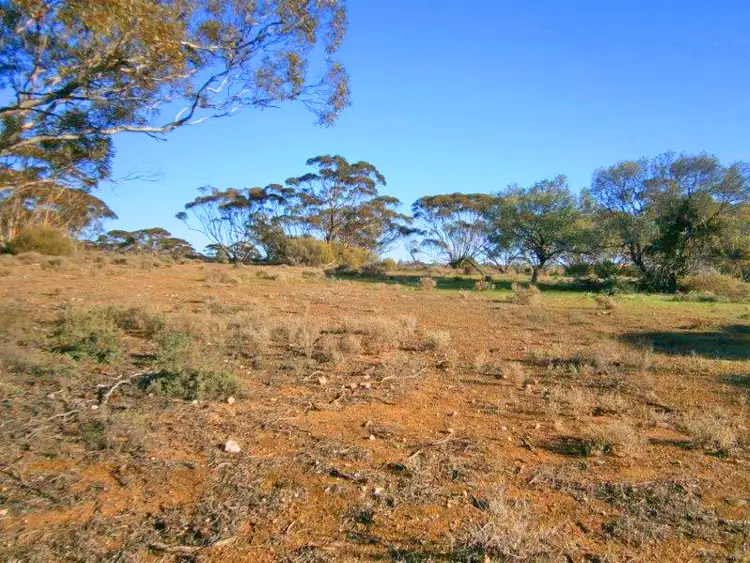 Seventh view of Homely rural property listing, Section 113 Sturt Highway, Blanchetown SA 5357