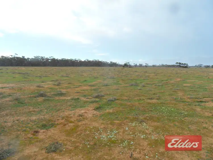 Third view of Homely land listing, Section 36 Off Swamp Road, Truro SA 5356