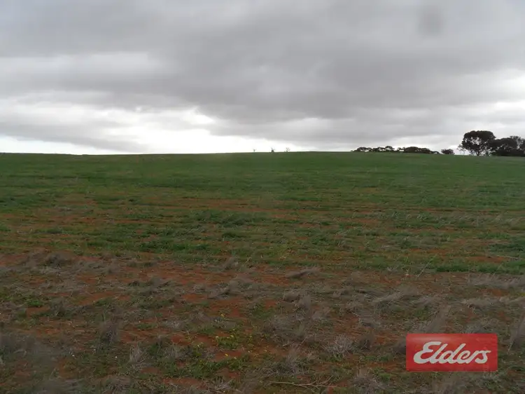 Second view of Homely land listing, 71 Warnes Road, Mannum SA 5238