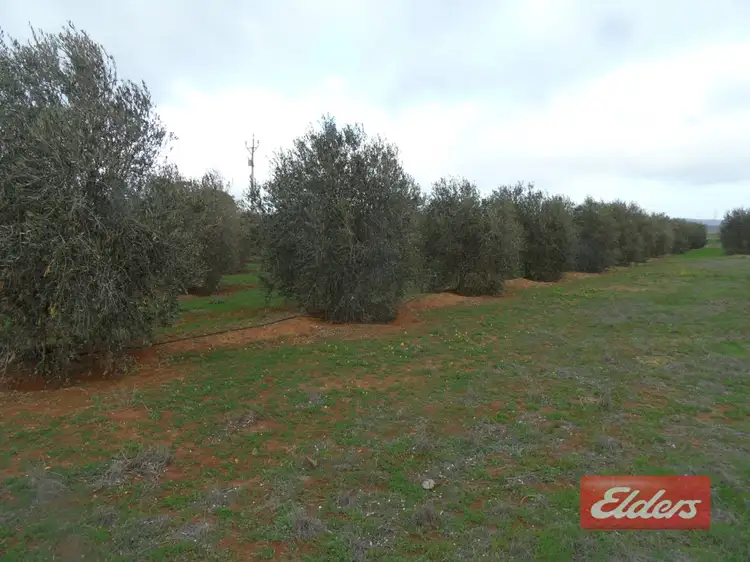 Fifth view of Homely land listing, 71 Warnes Road, Mannum SA 5238