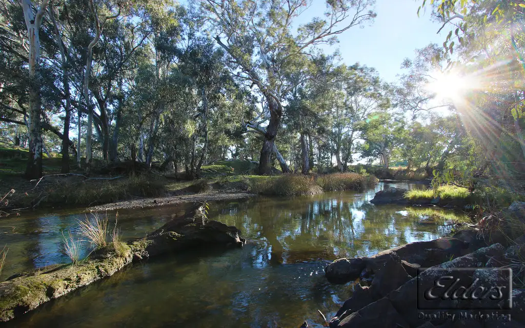 Main view of Homely land listing, Lot 10 Axedale - Goornong Road, Axedale VIC 3551