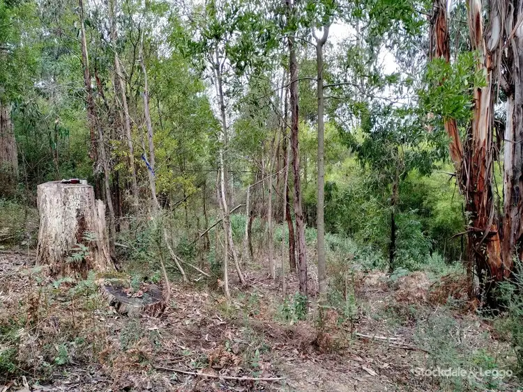 Sixth view of Homely land listing, 119 Bunderra Drive, Boolarra VIC 3870