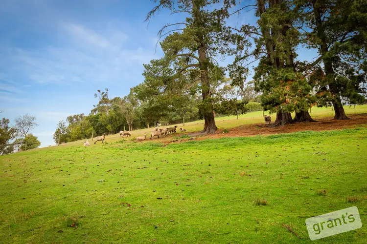 Fourth view of Homely rural property listing, 131 Officer Road, Officer VIC 3809