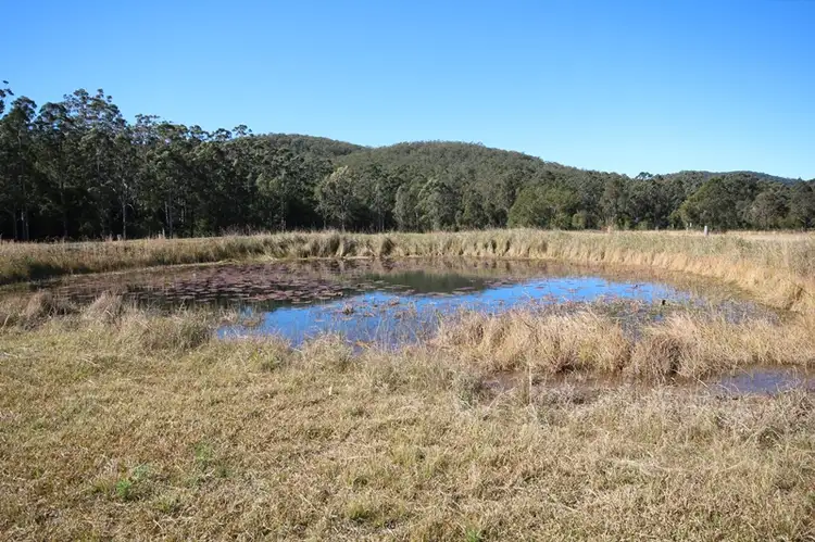 Fifth view of Homely rural property listing, 22 Willina Road, Coolongolook NSW 2423
