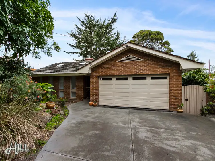 7 Arcady Grove, Vermont VIC 3133