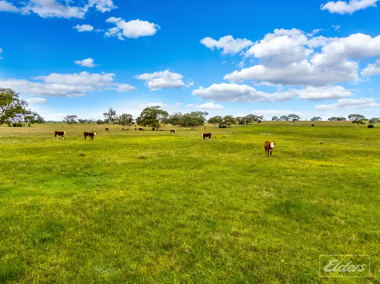 Fourth view of Homely rural property listing, Lot 8 Stevens Road, Currency Creek SA 5214