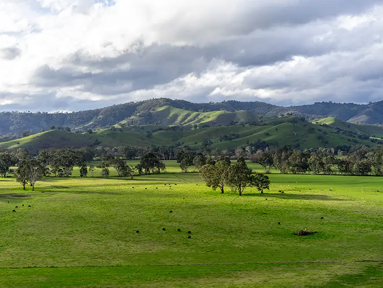 Second view of Homely rural property listing, 1089 Goulburn Valley Hwy, Thornton VIC 3712