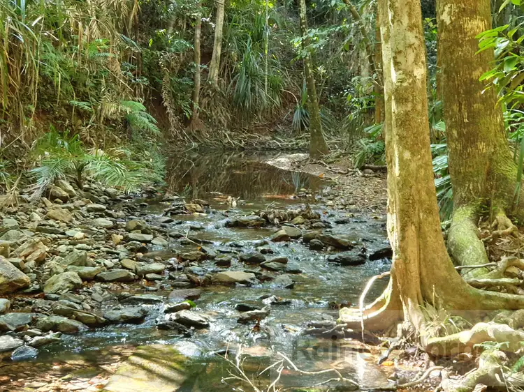 Fifth view of Homely house listing, 51 Wattle Close, Cow Bay, Daintree QLD 4873