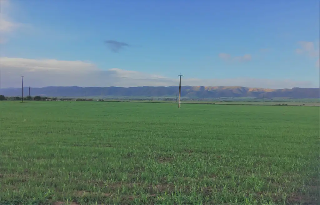 Main view of Homely rural property listing, 11376 Augusta Highway, Warnertown SA 5540