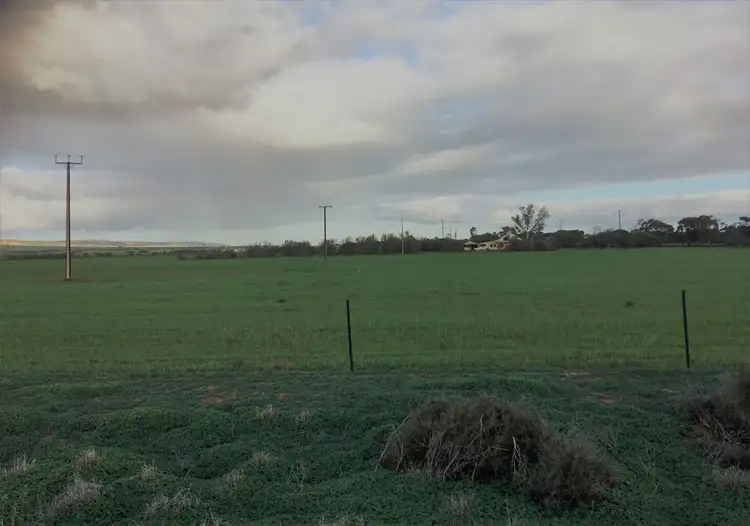 Third view of Homely rural property listing, 11376 Augusta Highway, Warnertown SA 5540