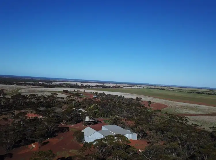 2244 Calzoni Road, Woolocutty WA 6369