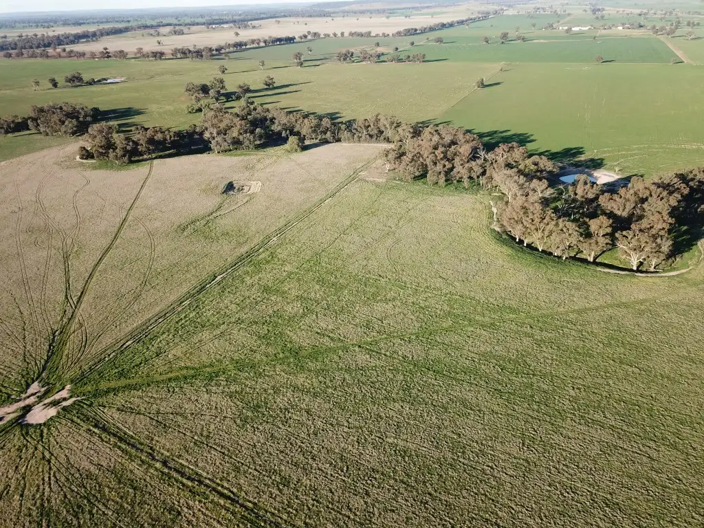 Main view of Homely rural property listing, 40 Old Wallendbeen, Stockinbingal NSW 2725