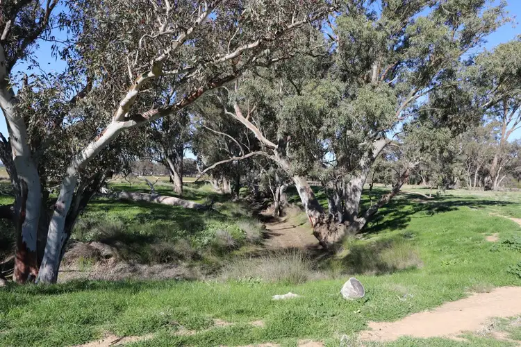 Second view of Homely rural property listing, 40 Old Wallendbeen, Stockinbingal NSW 2725