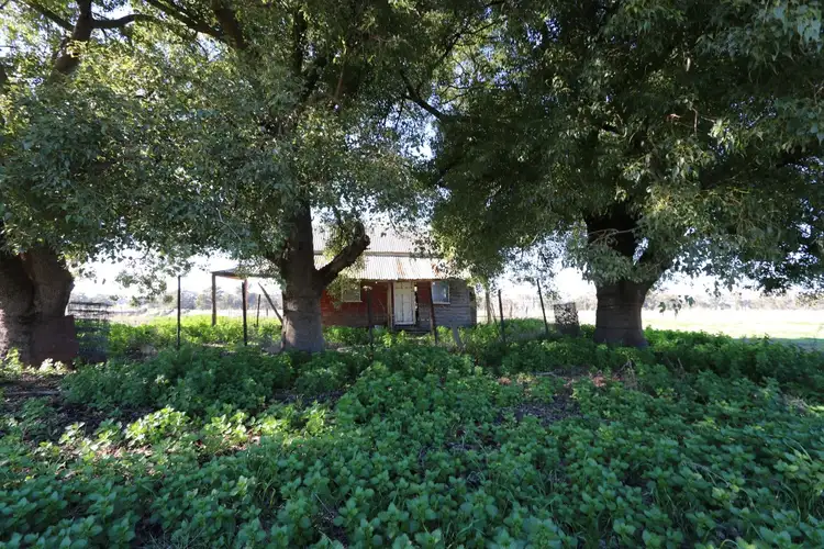 Third view of Homely rural property listing, 40 Old Wallendbeen, Stockinbingal NSW 2725