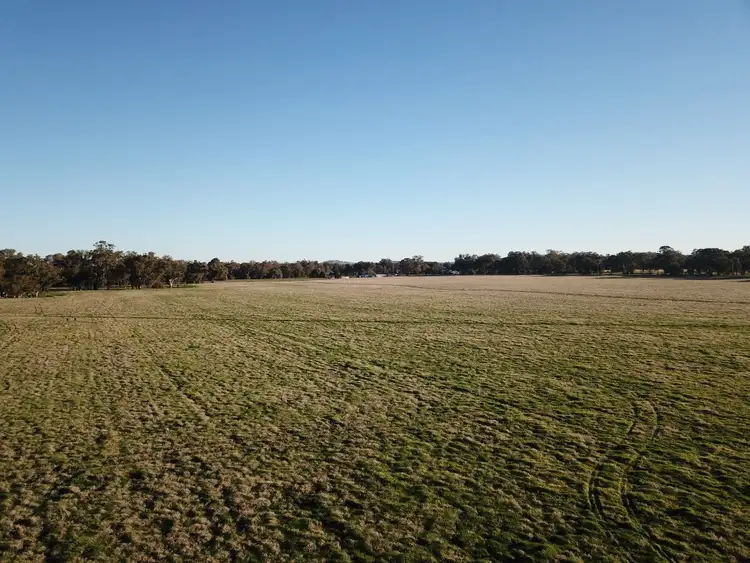 Fifth view of Homely rural property listing, 40 Old Wallendbeen, Stockinbingal NSW 2725