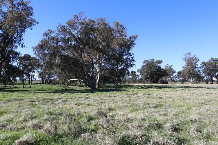 Sixth view of Homely rural property listing, 40 Old Wallendbeen, Stockinbingal NSW 2725