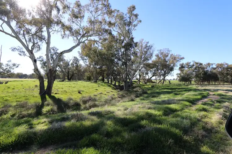 Seventh view of Homely rural property listing, 40 Old Wallendbeen, Stockinbingal NSW 2725