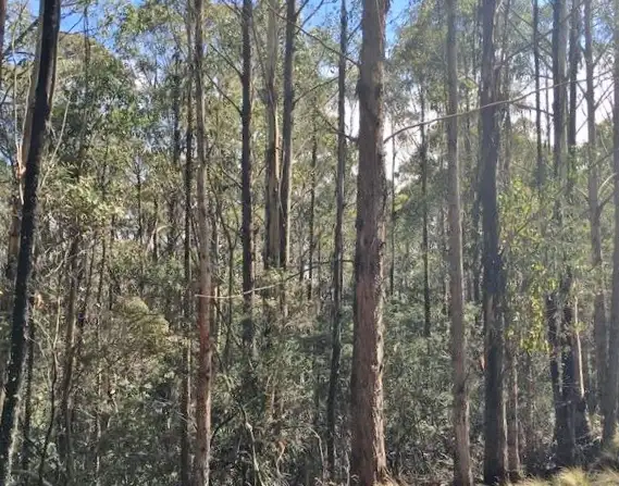 Second view of Homely land listing, Lot 1 Woodsdale Road, Levendale TAS 7120
