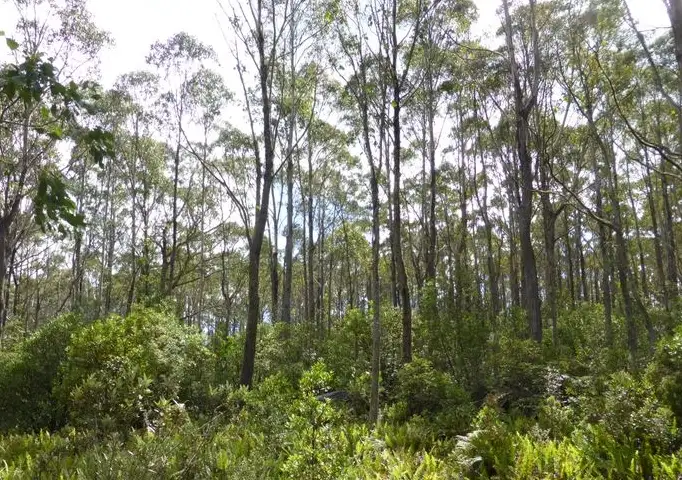 Third view of Homely land listing, Lot 1 Woodsdale Road, Levendale TAS 7120