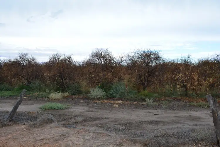 Seventh view of Homely rural property listing, 9 Channel Road, Curlwaa NSW 2648