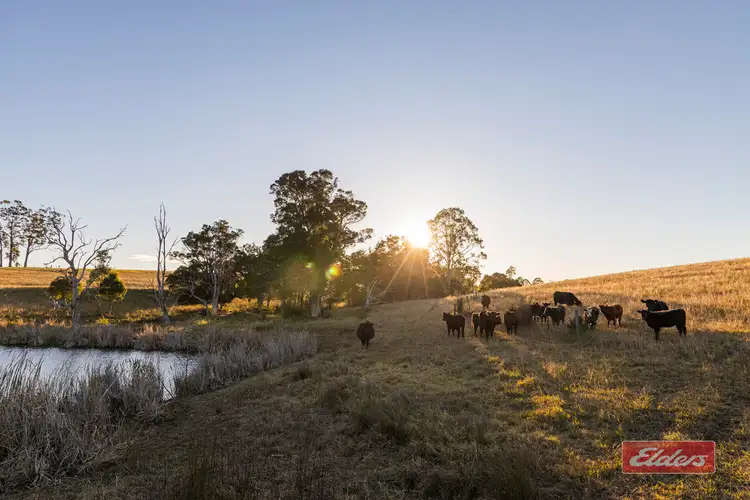 Fourth view of Homely land listing, 90 MOUNT VIEW CLOSE, Razorback NSW 2571