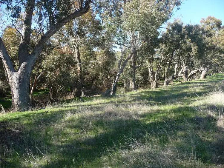 Seventh view of Homely rural property listing, 201 Bennett Road, Dale WA 6304