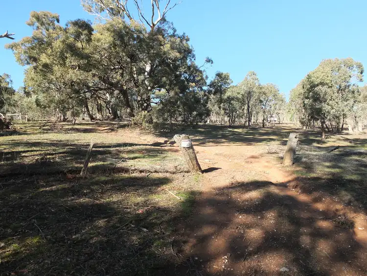 Second view of Homely rural property listing, CA19 Johnsons Gully Road, Barkly VIC 3384