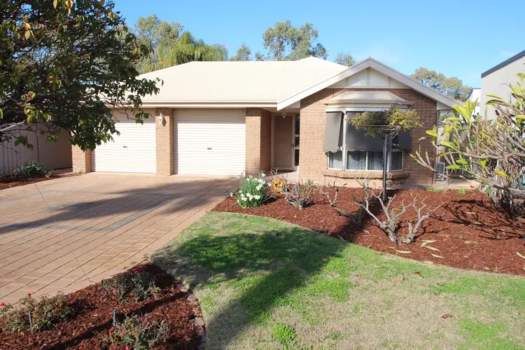 16 Palm Court, Renmark SA 5341