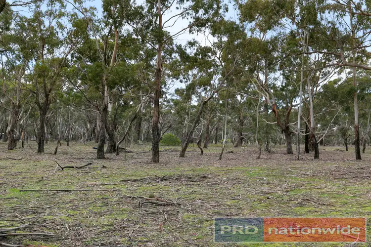 Sixth view of Homely land listing, 248 Browns Road, Dereel VIC 3352