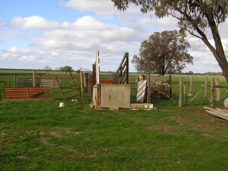 Fourth view of Homely rural property listing, 700 Mount Terrick, Echuca VIC 3564