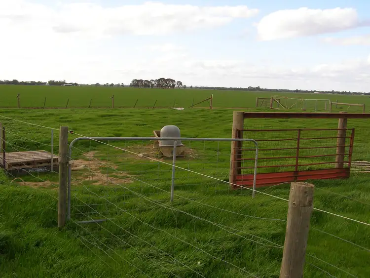 Sixth view of Homely rural property listing, 700 Mount Terrick, Echuca VIC 3564