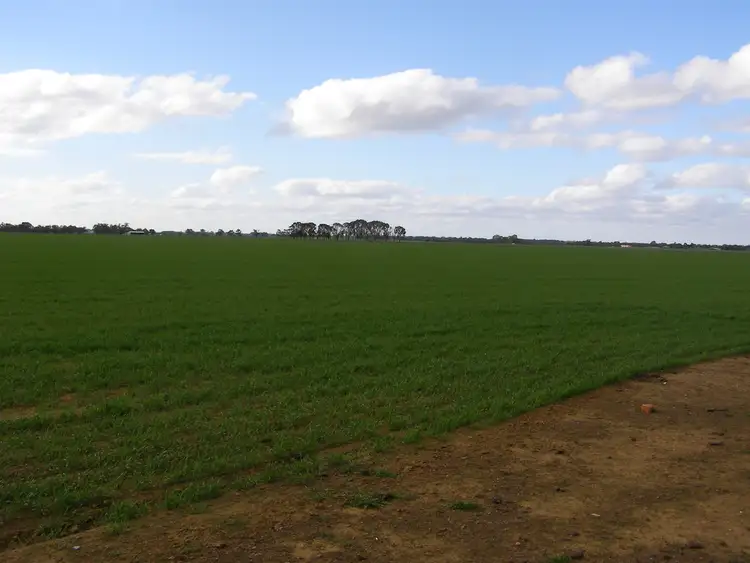 Seventh view of Homely rural property listing, 700 Mount Terrick, Echuca VIC 3564