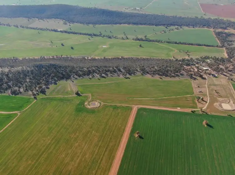 6550 Newell Highway, Ardlethan NSW 2665