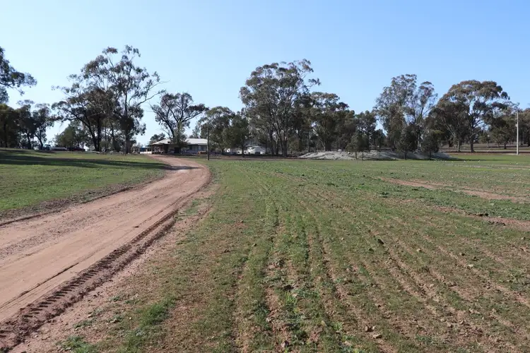 Second view of Homely rural property listing, 6550 Newell Highway, Ardlethan NSW 2665