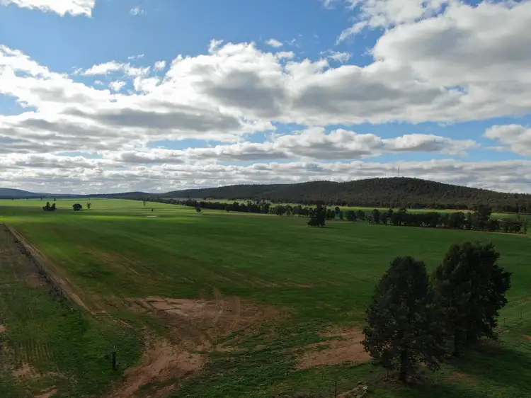 Third view of Homely rural property listing, 6550 Newell Highway, Ardlethan NSW 2665