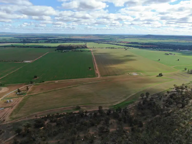 Fourth view of Homely rural property listing, 6550 Newell Highway, Ardlethan NSW 2665