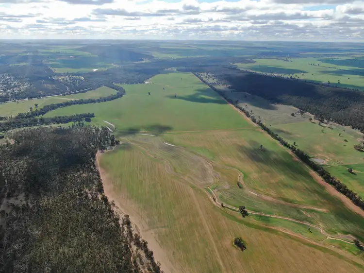 Fifth view of Homely rural property listing, 6550 Newell Highway, Ardlethan NSW 2665