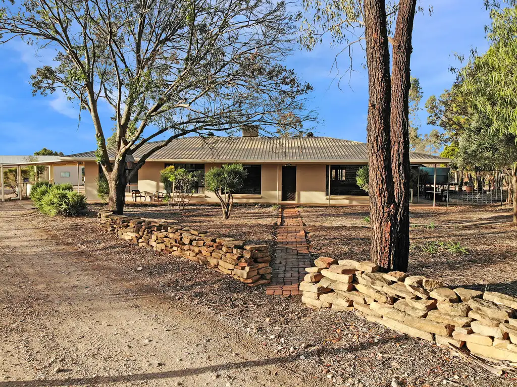 Main view of Homely house listing, 170 BUSHS LANE, Gunnedah NSW 2380