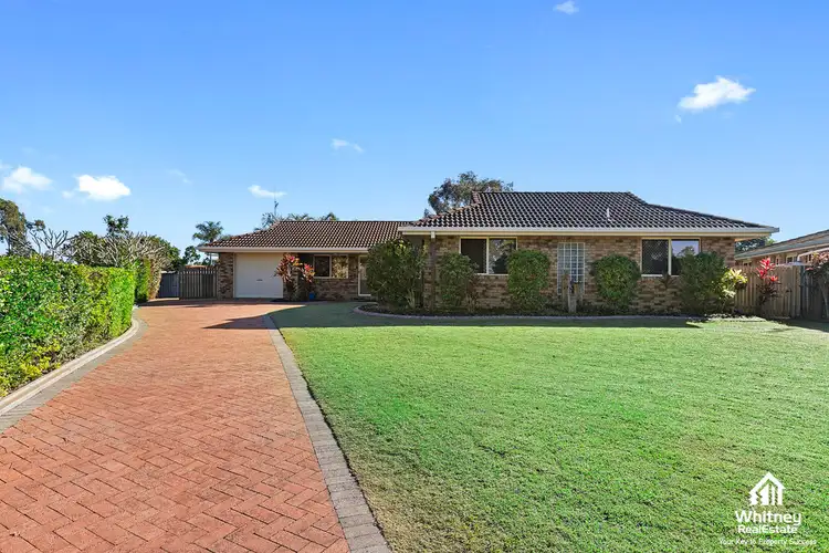 17 Wattlebird Lane, Eli Waters QLD 4655