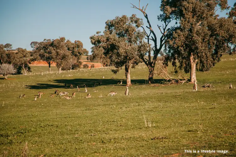 Fifth view of Homely land listing, LOT 78 Watson Boulevard, Lloyd NSW 2650