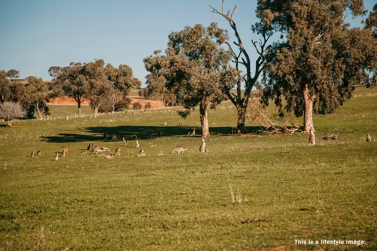 Fifth view of Homely land listing, LOT 79 Watson Boulevard, Lloyd NSW 2650