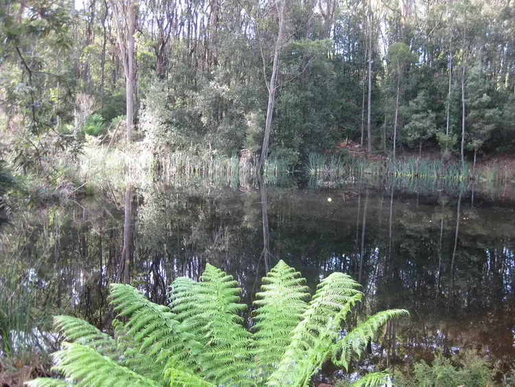 Fourth view of Homely rural property listing, Lot 2, 43 Brakeys Road, Rocky Cape TAS 7321