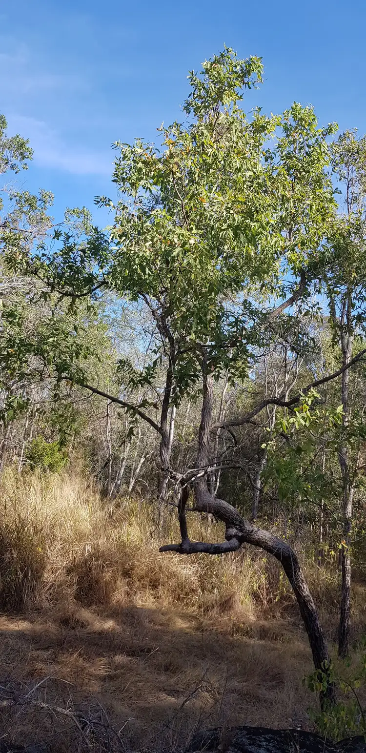 Seventh view of Homely land listing, 21E Claxton Road Kolonga, Gin Gin QLD 4671