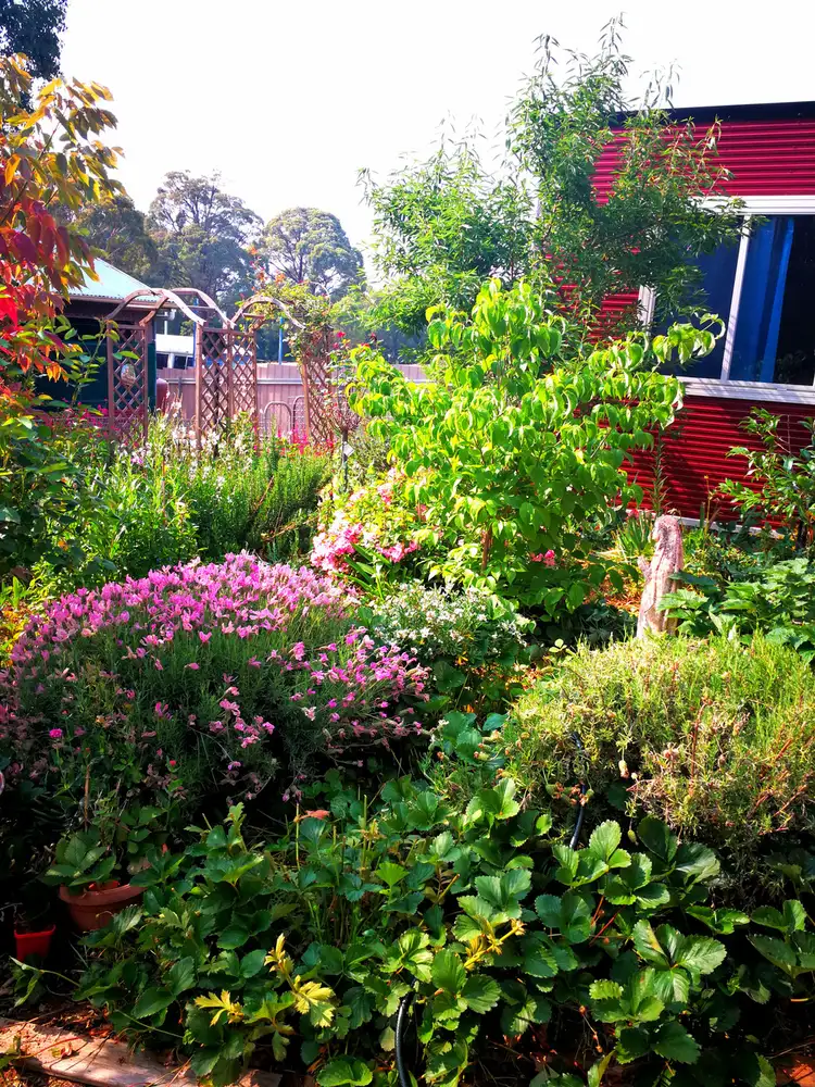 Fifth view of Homely house listing, 18 Bonza Crescent, Batlow NSW 2730