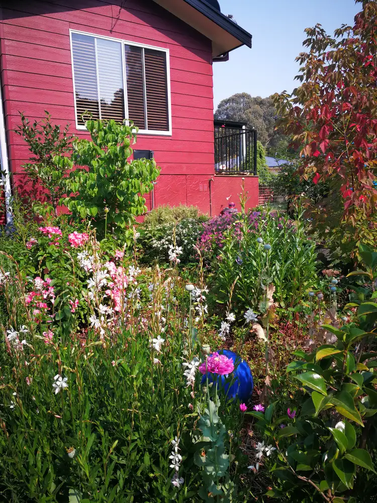 Sixth view of Homely house listing, 18 Bonza Crescent, Batlow NSW 2730